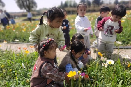 童趣印记|享春天，趣春游——记新城花园幼儿园春游活动 